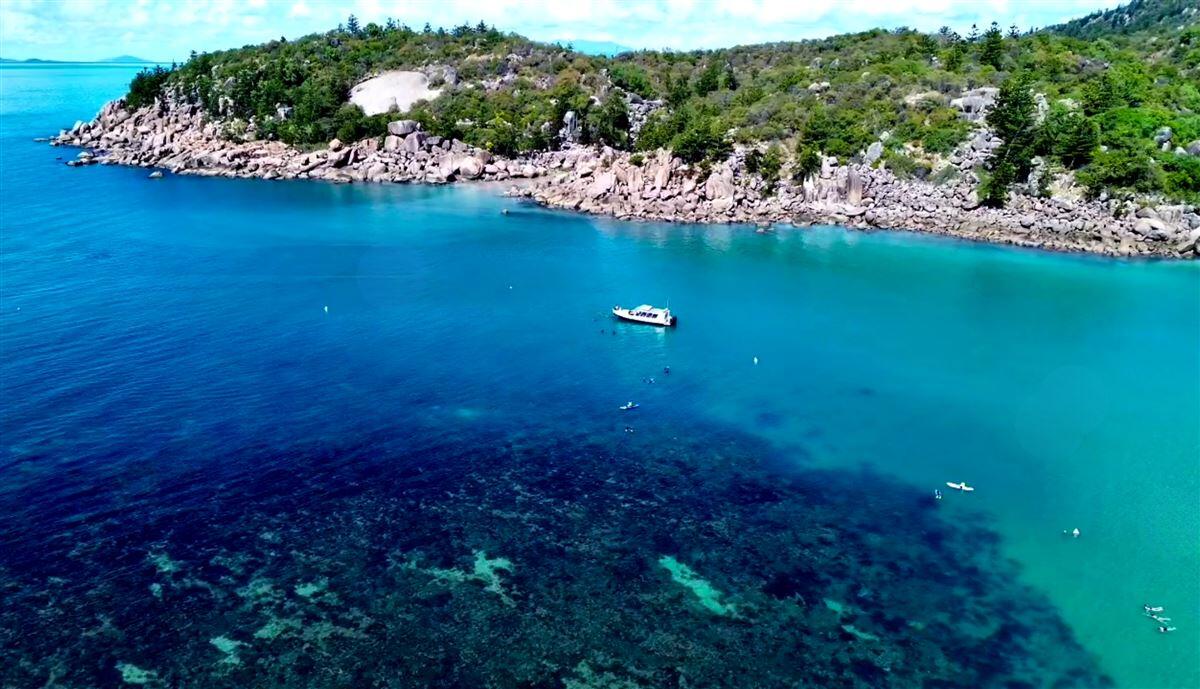 Great Barrier Reef Snorkel Tour - Gift Voucher or Instant Booking - Townsville QLD