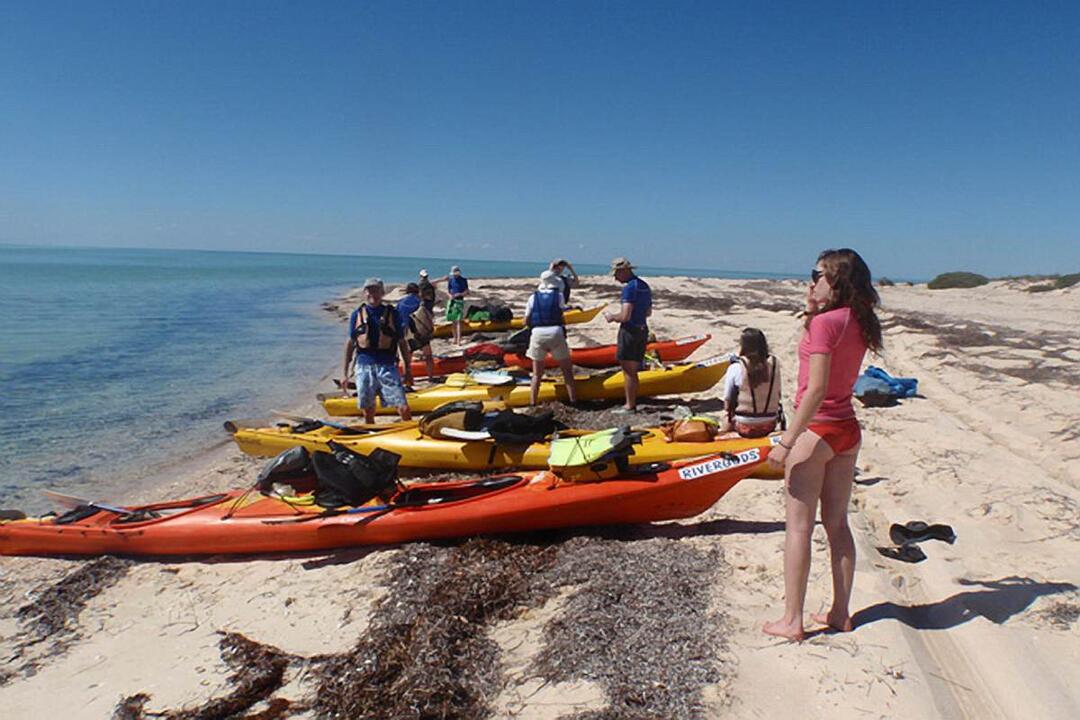 Sea Kayaking Adventure Monkey Mia WA