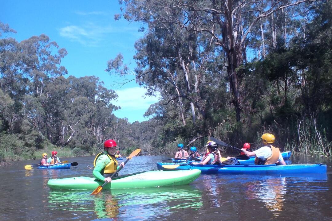 Kayaking Day Trip Warrandyte VIC