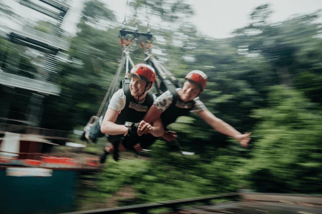 Giant Jungle Swing Cairns QLD