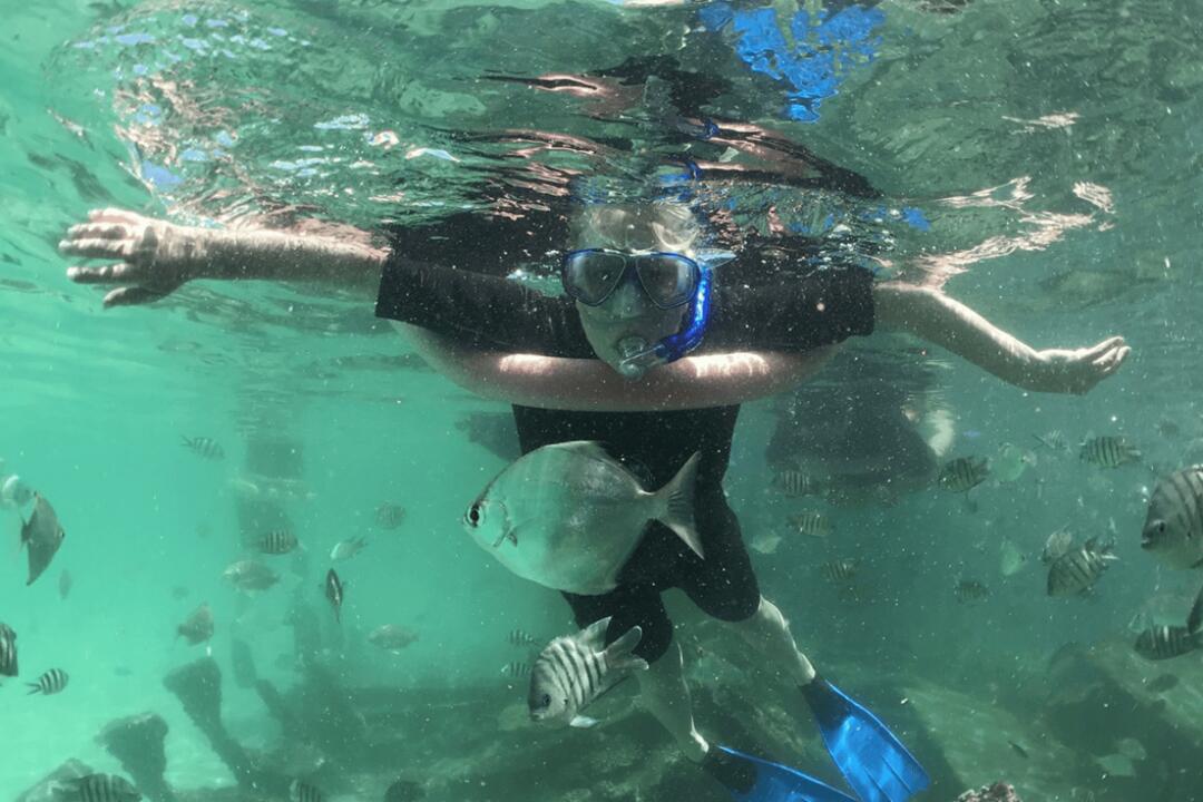 Eco Marine Safari Cruise and Snorkel Scarborough QLD