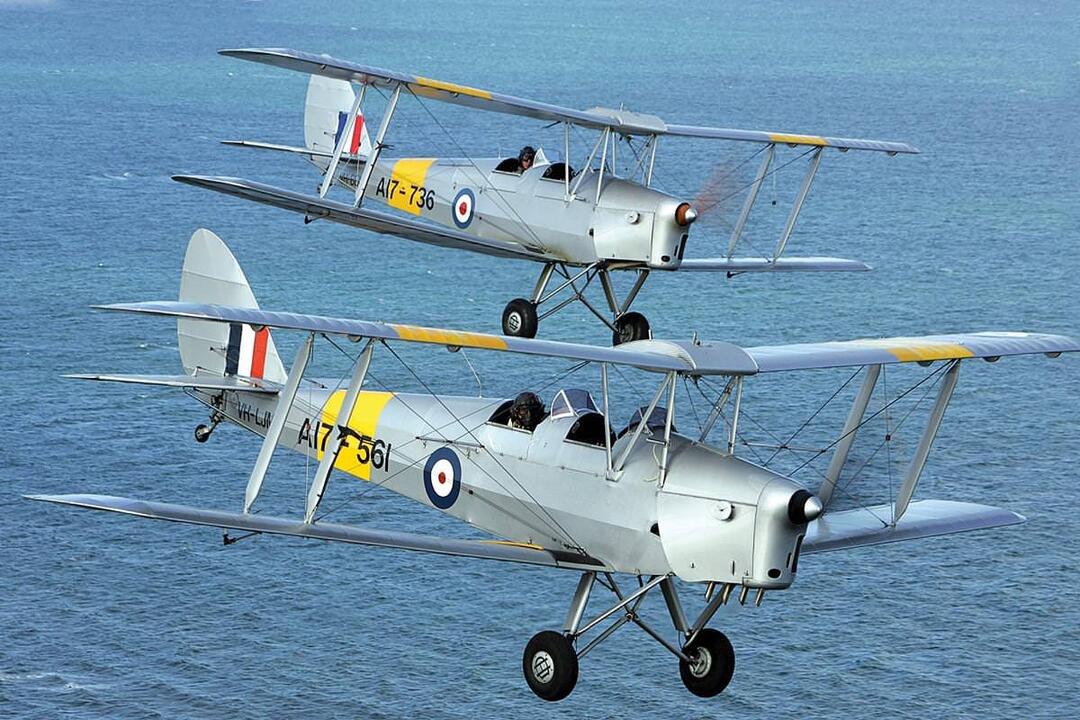 Fly in a Tiger Moth with Wild Acrobatics Lethbridge VIC