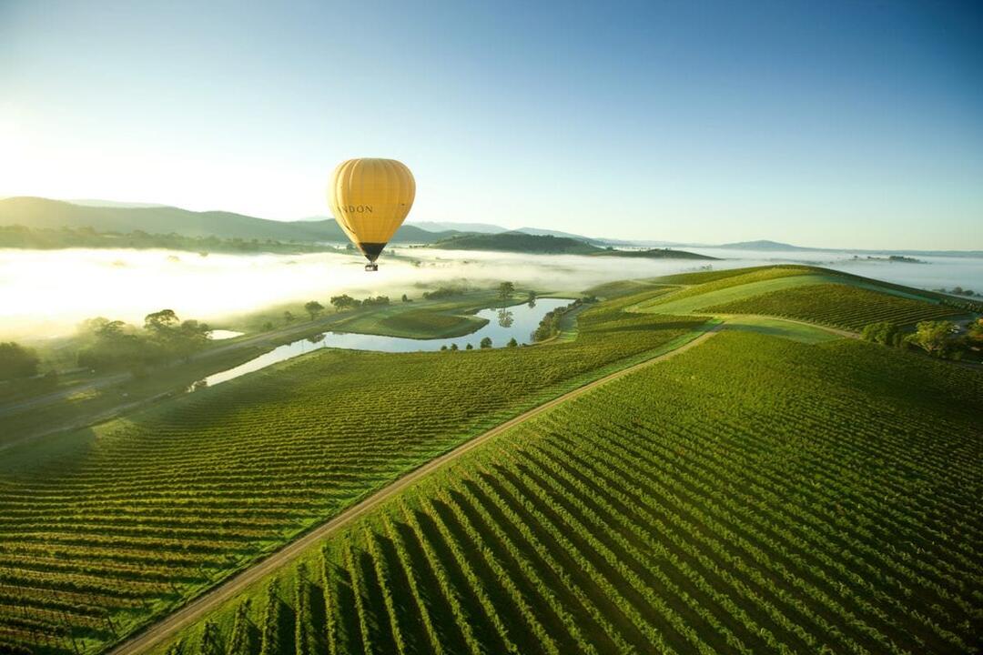 Ballooning the Yarra Valley Yarra Valley VIC