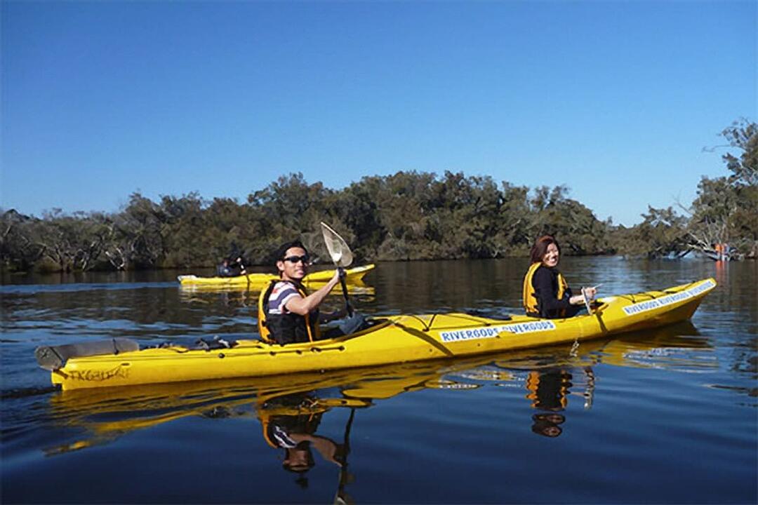 Canning River Half Day Kayaking For Two Perth WA