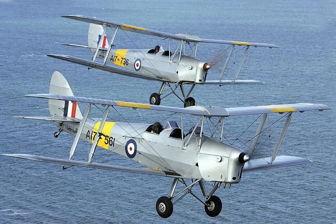 Tiger Moth Dogfight for Two Lethbridge VIC