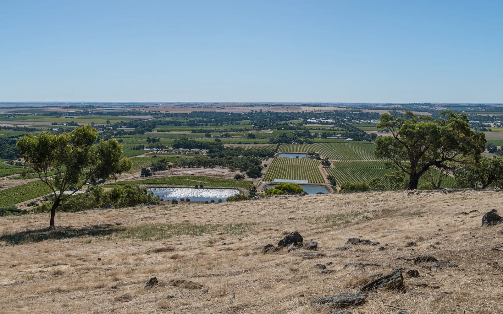 Barossa Valley