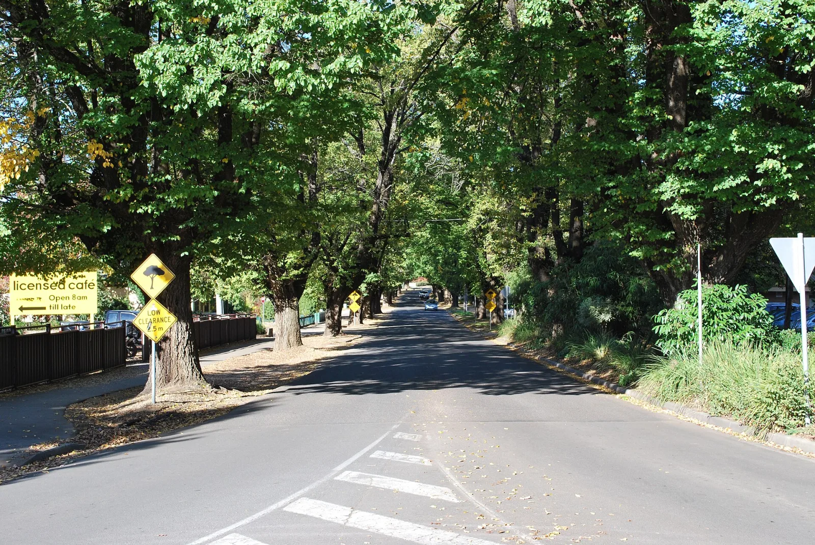 Cobden Street in Bright, Victoria