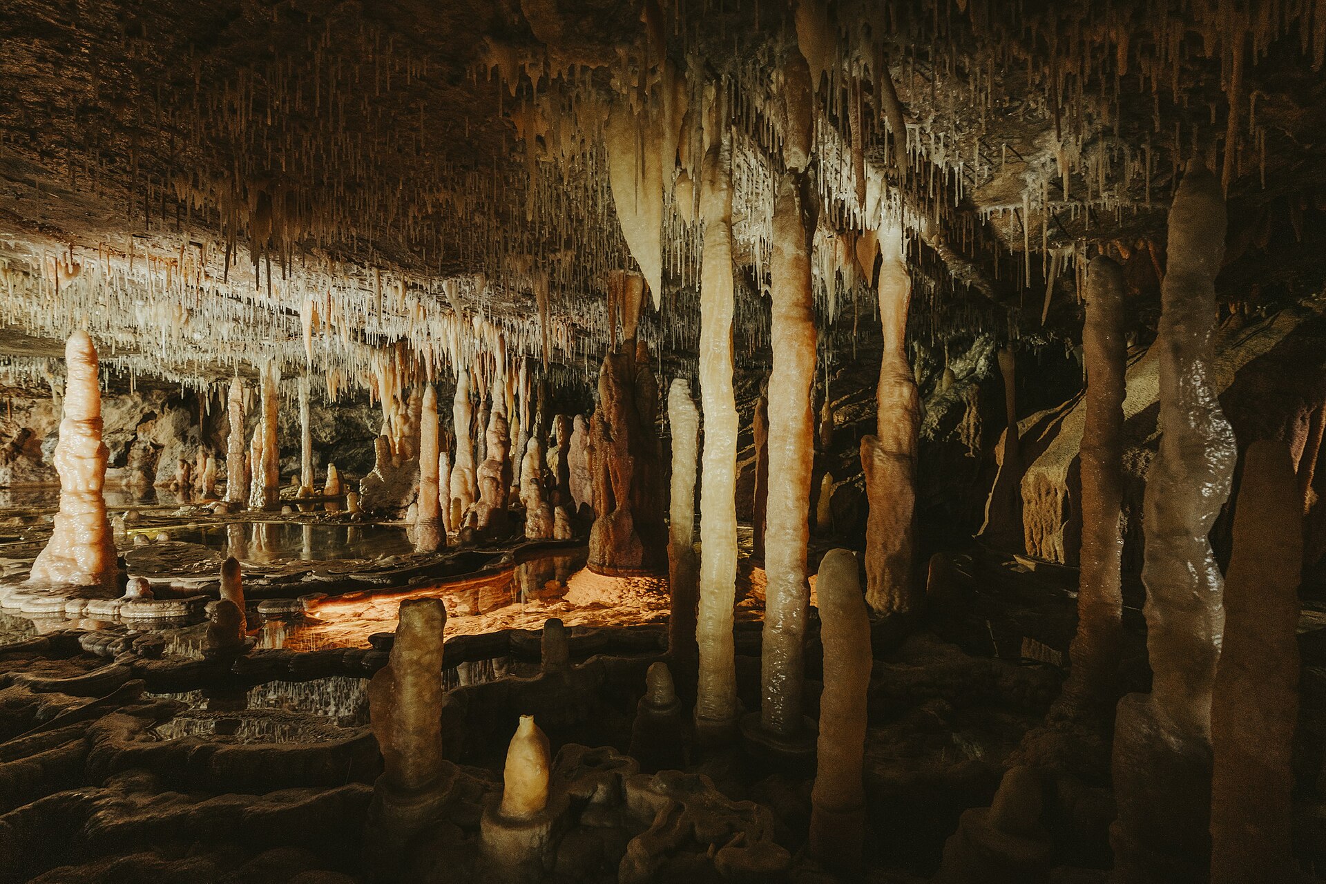 Buchan Caves are formed in 380 million year old limestone that was laid down when the area was covered by a shallow sea. Fossilised sea creatures are visible embedded in the walls of the caves. The caves include almost four kilometers of underground passages and chambers leading to six entrances. Local wildlife includes lyrebirds, boobook owls, king parrots and brush-tailed possums. The district was set aside as a stock reserve in 1887 and the caves were opened for visitors in 1907.