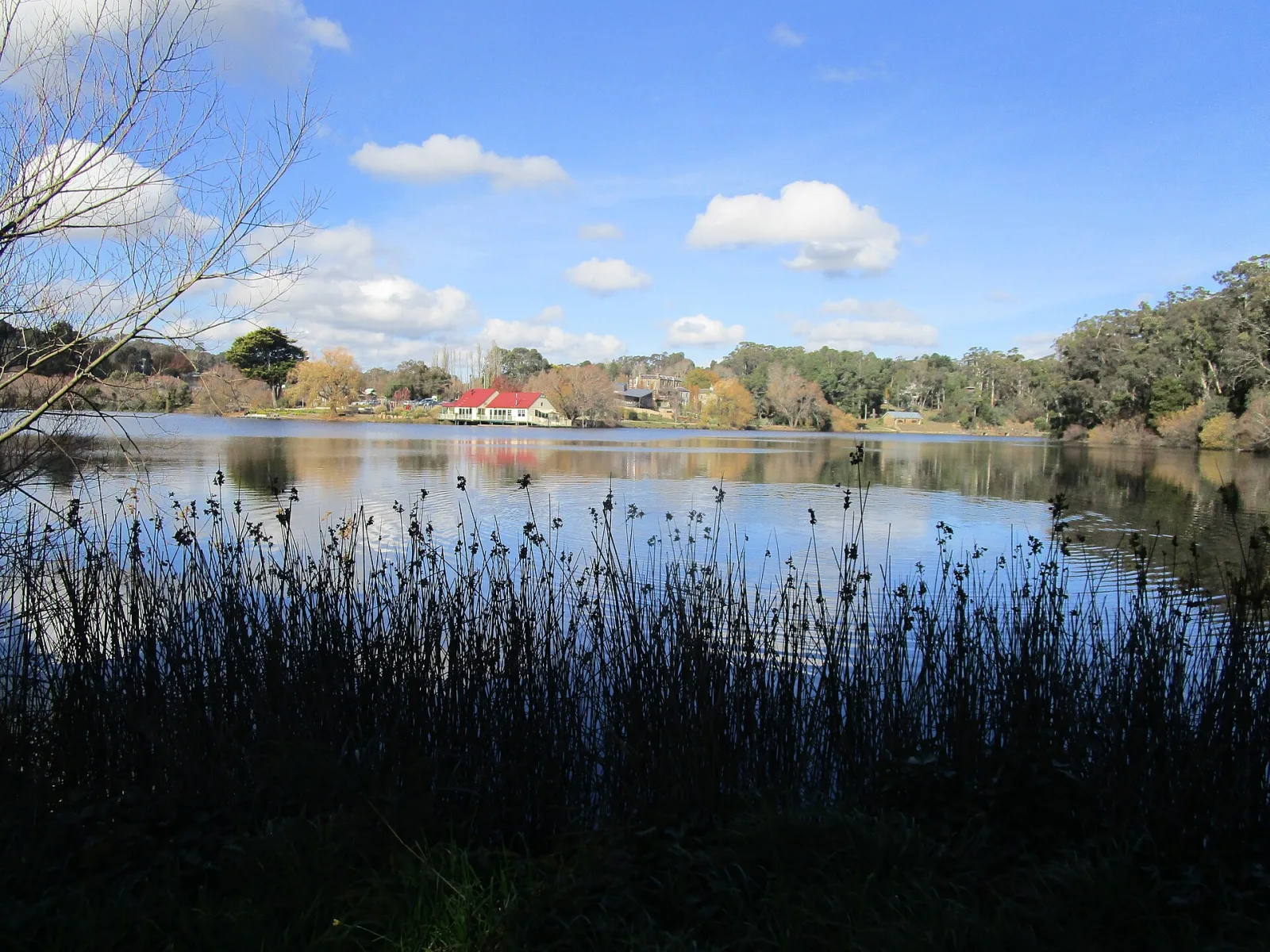 Lake Daylesford