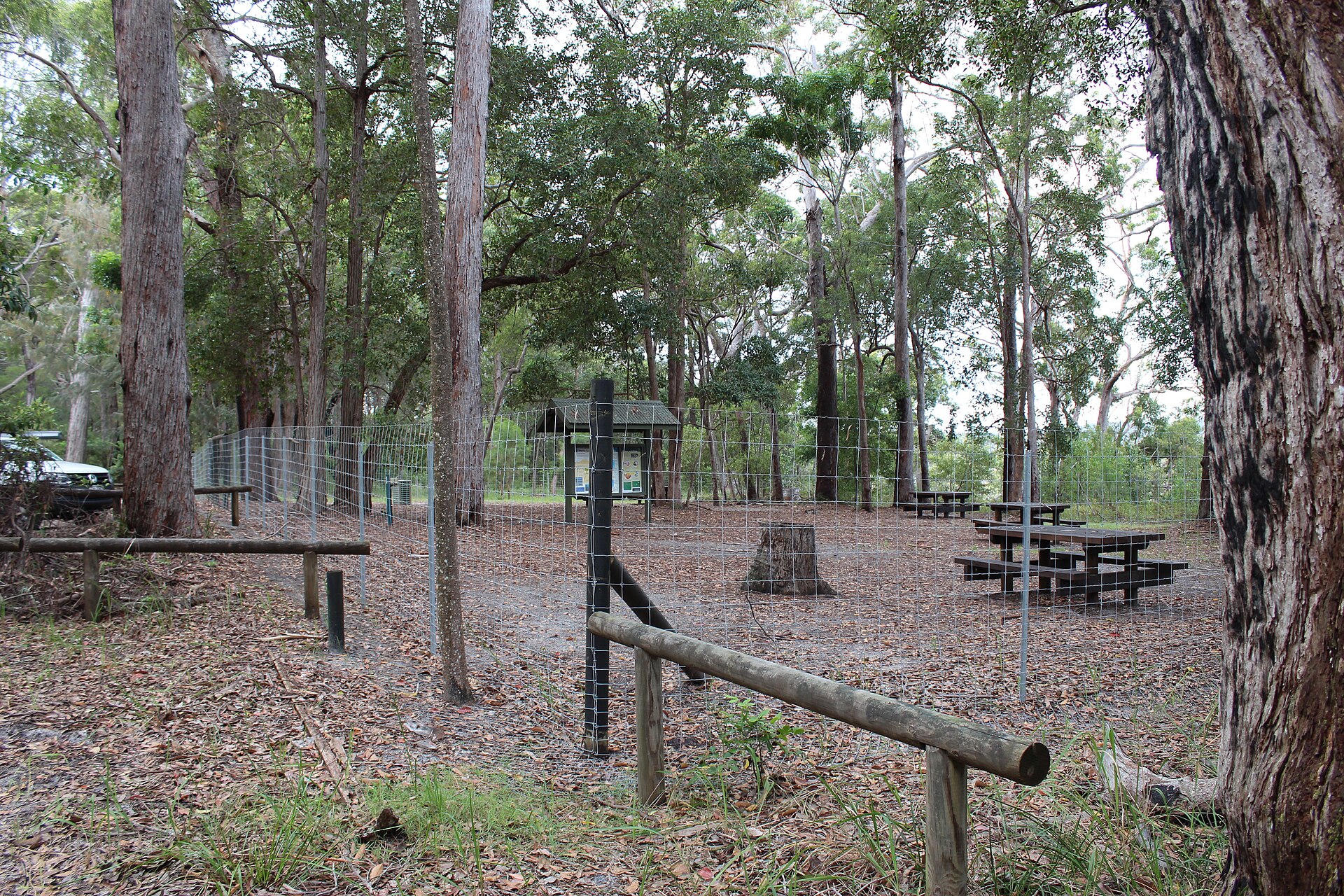 There are fenced camping and recreation areas on K'gari (Fraser Island) to provide an area safe from Dingoes to cook, eat and relax.