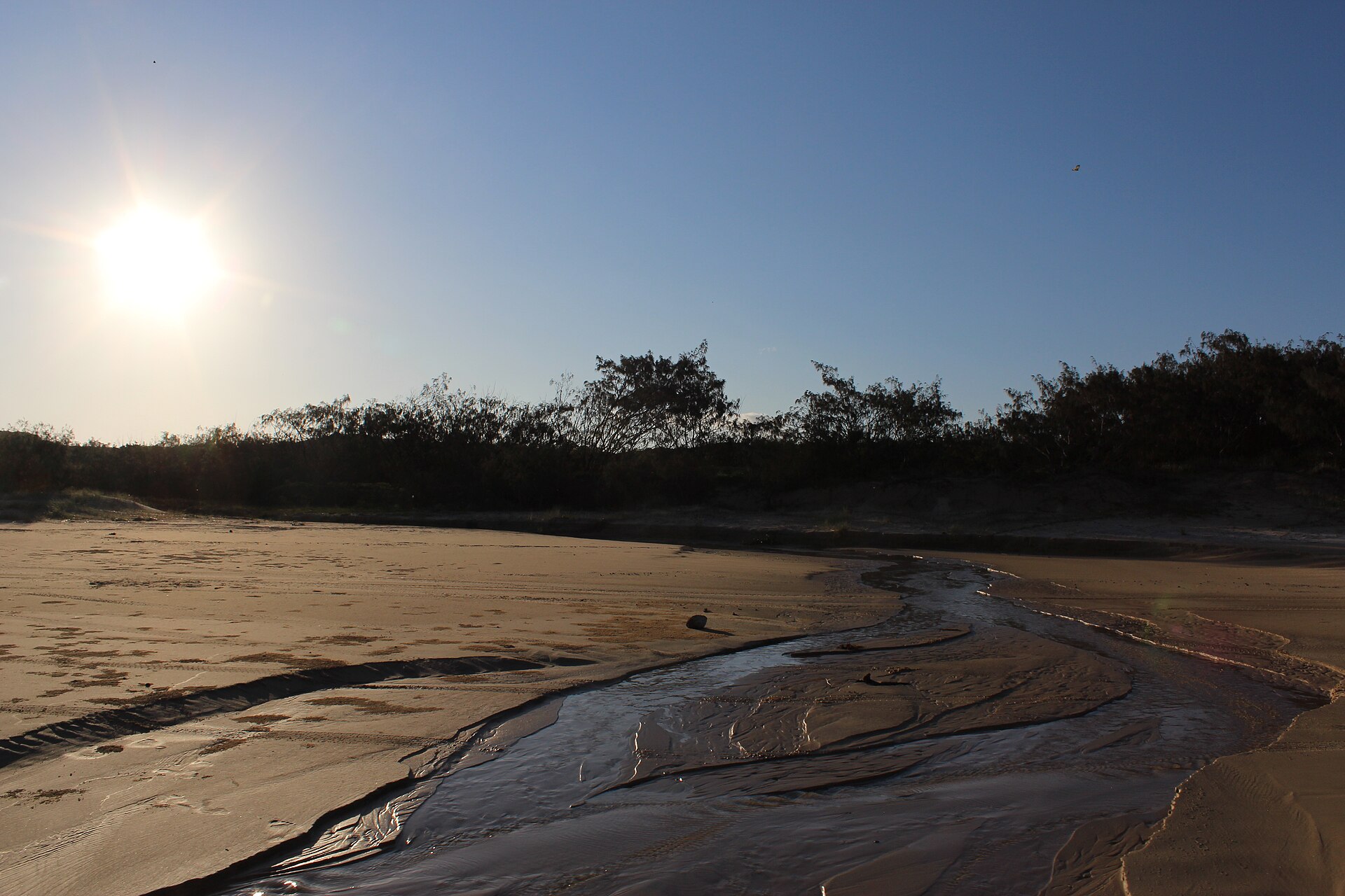 K'gari (Fraser Island) beaches are frequently cut by small freshwater creeks, Great Sandy National Park, Qld.