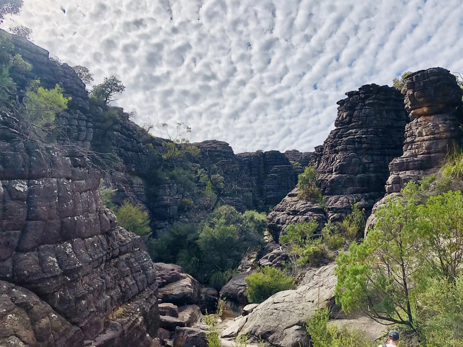 This is a picture of the Grampians flora, VIC. Naturally formed cliff faces weathered down over millions of years