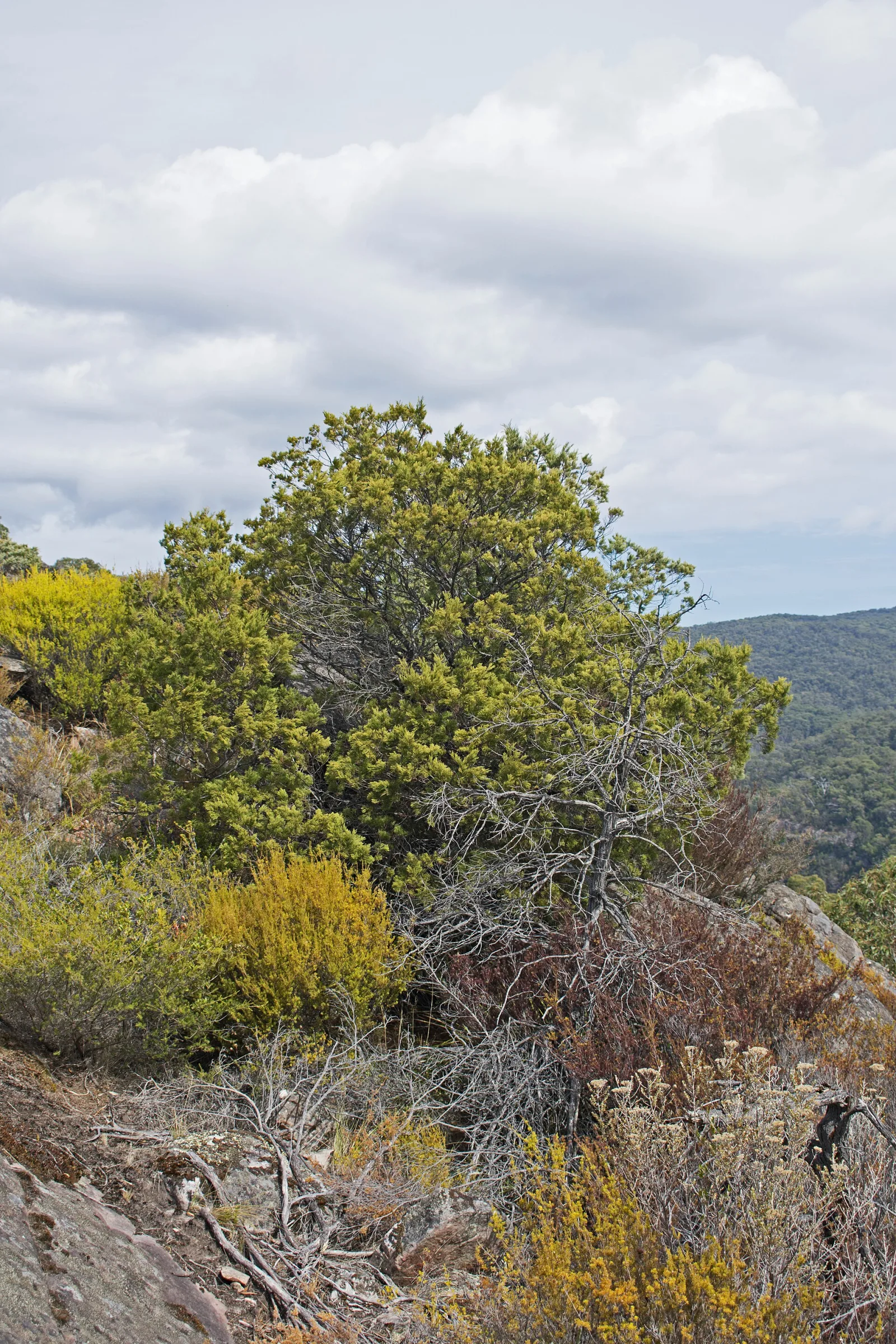 Chatauqua Peak Walk, Grampians National Park, Victoria, Australia