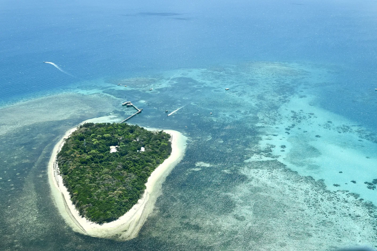 The Great Barrier Reef, Off Cairns Coast