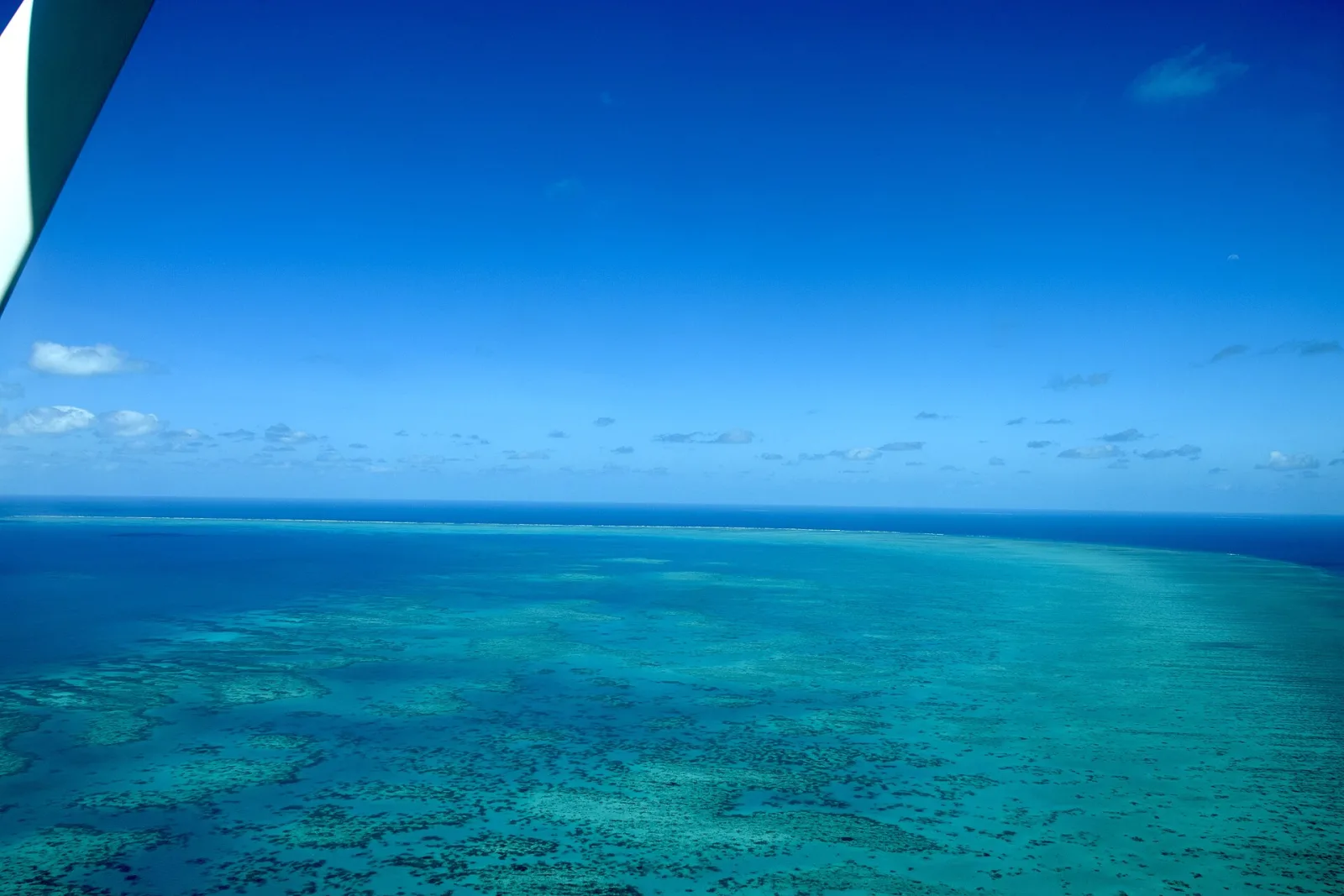 The Great Barrier Reef, Off Cairns Coast