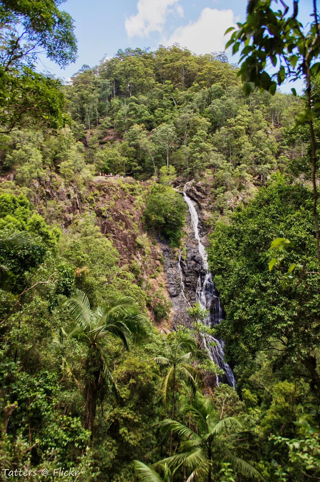 Kondalilla Falls