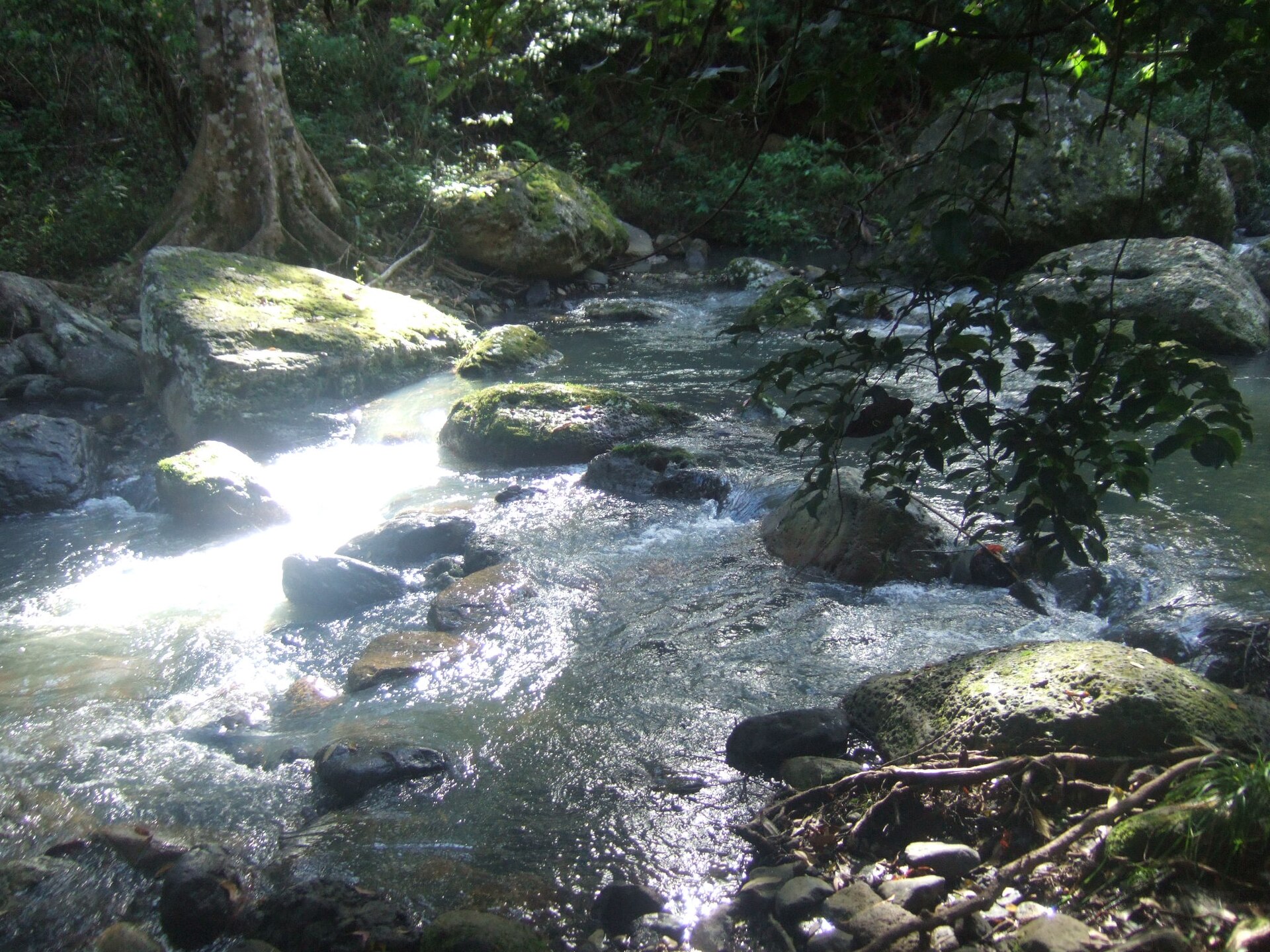 Lamington National Park