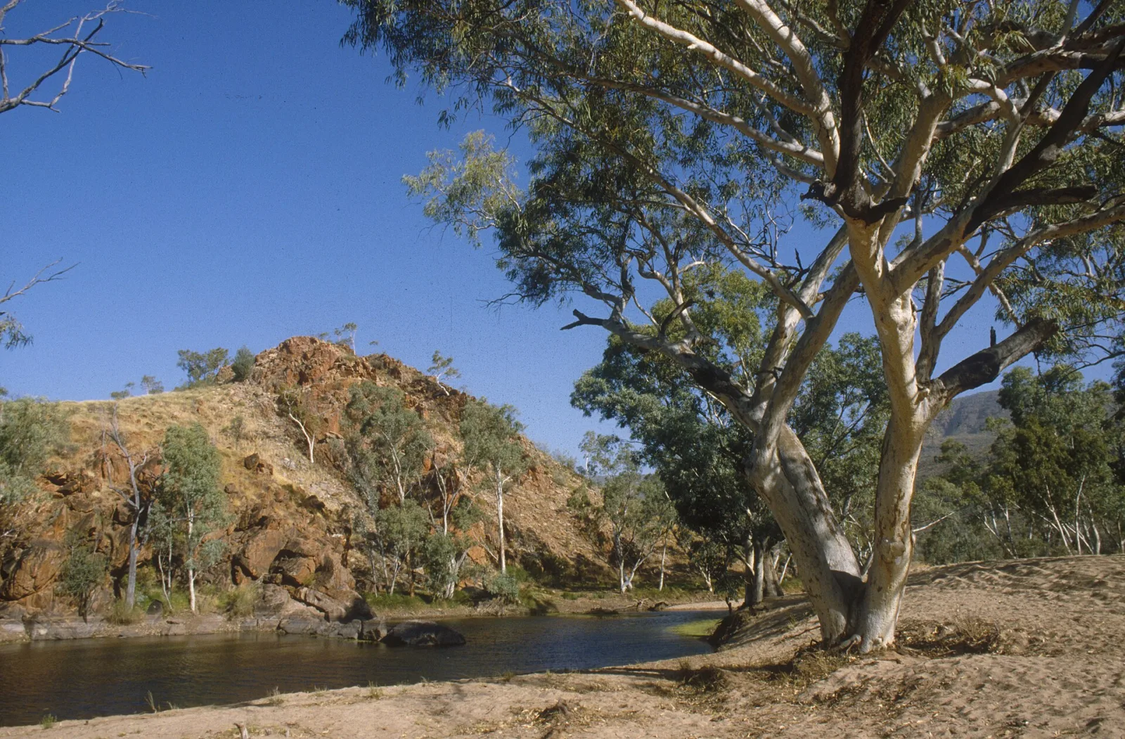 MacDonnell Ranges