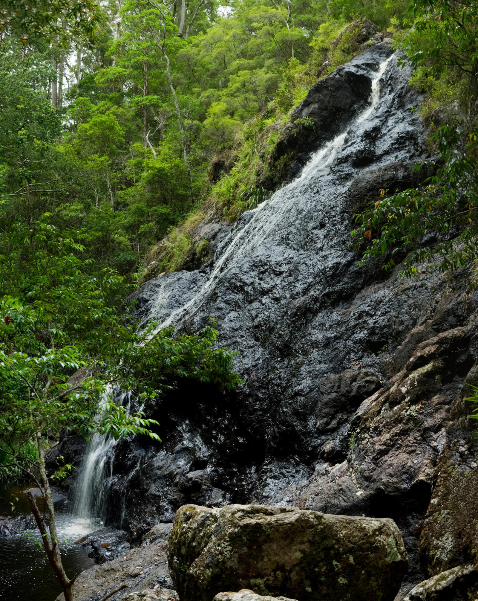 Mapleton Falls