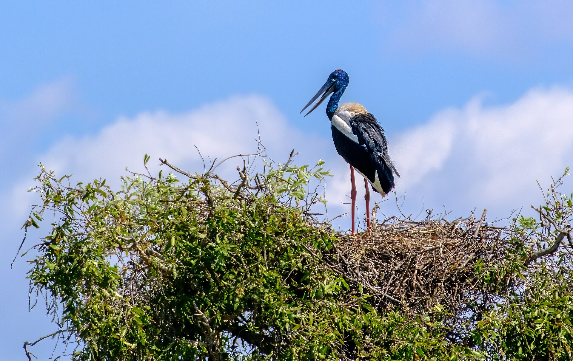 Mary River National Park