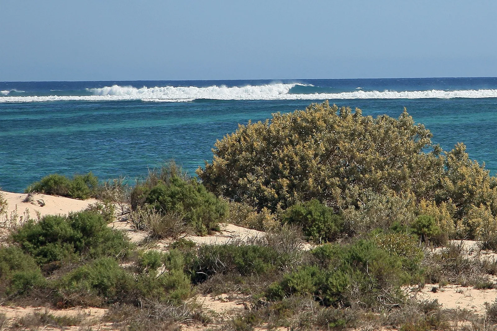 Ningaloo Reef, a 250-kilometer-long coral reef on the west coast of Australia - a UNESCO World Heritage Site.