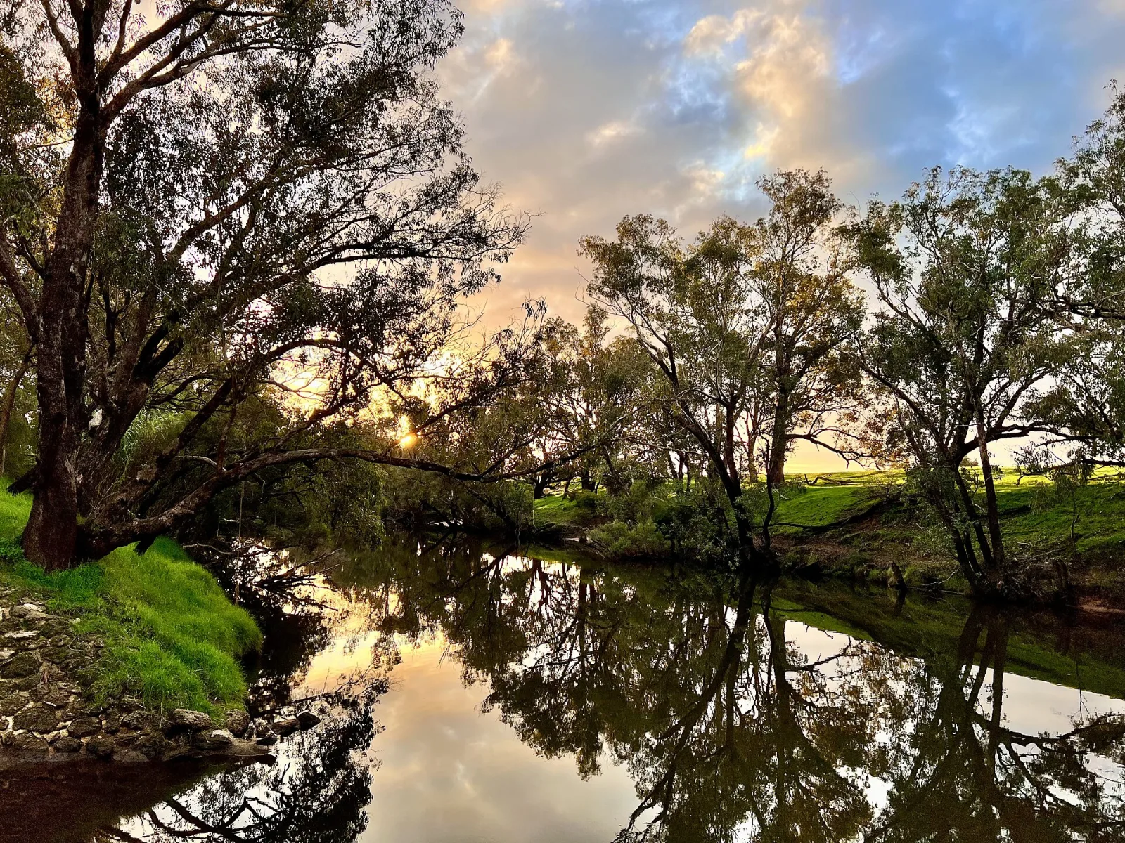 Pinjarra
