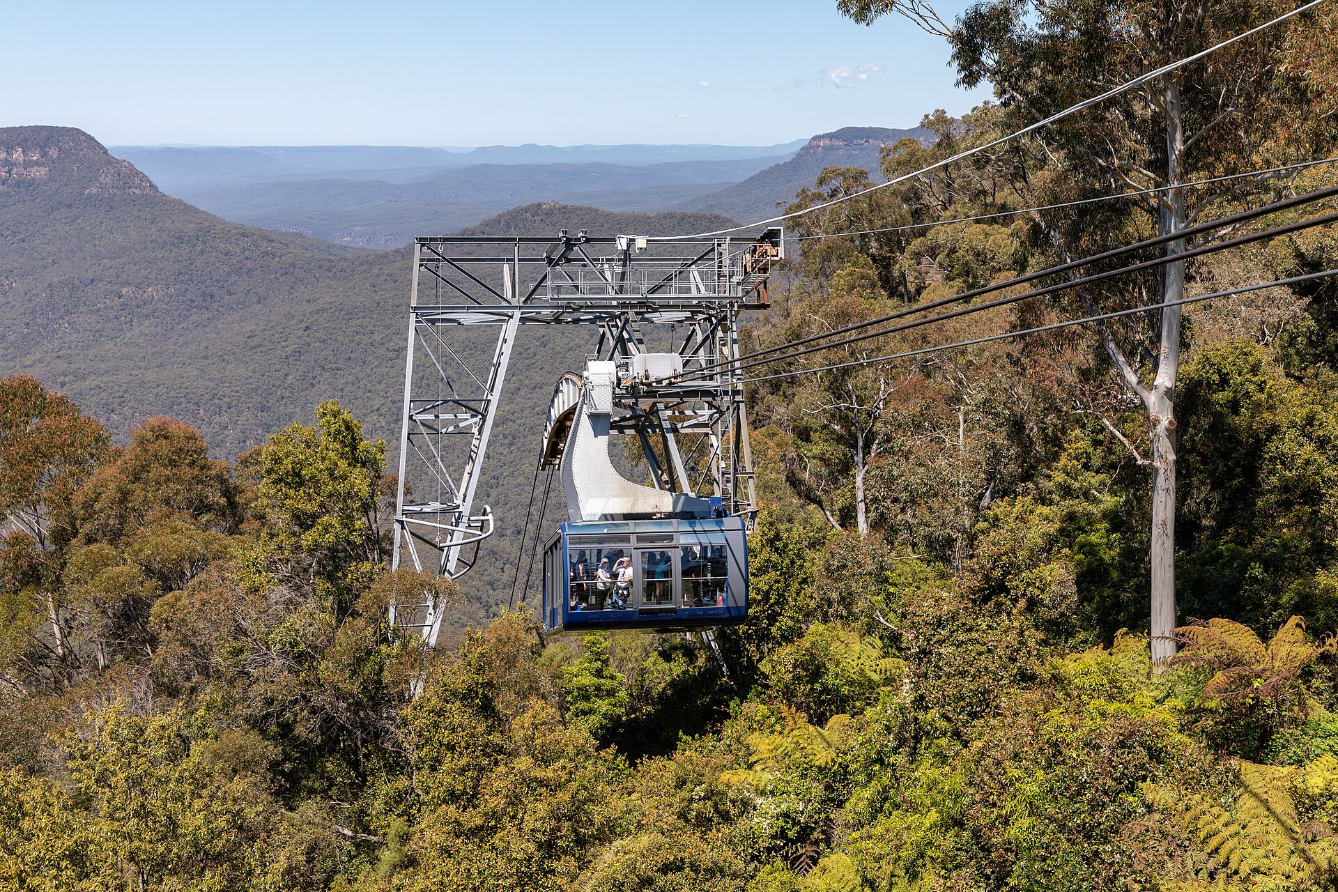 Scenic World