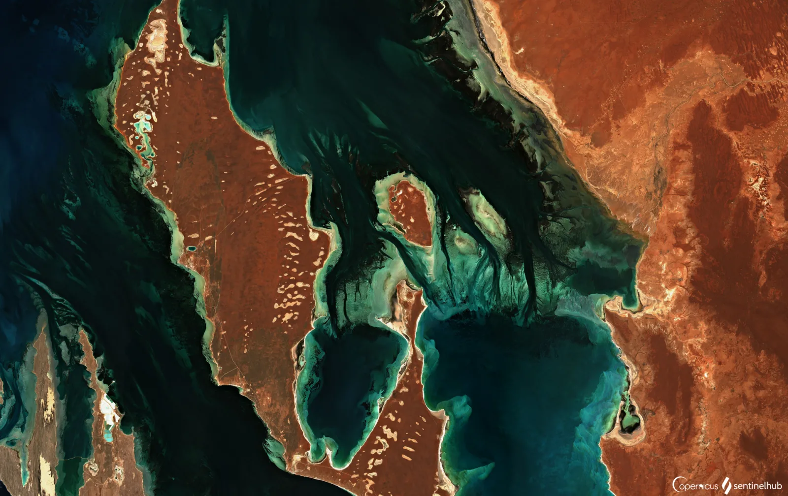 Shark Bay Date: 2019-01-10 Sentinel-2 L2A + True Color Composite Author: Monja Šebela Contains modified Copernicus Sentinel data [2019], processed by Sentinel Hub Inspect in EO Browser