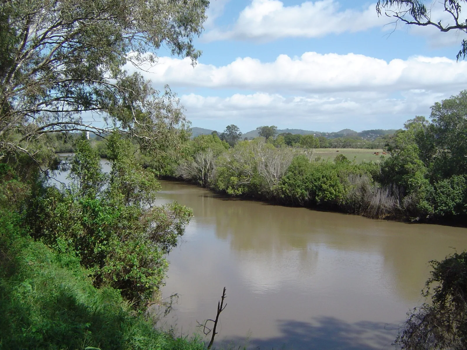 Stapylton