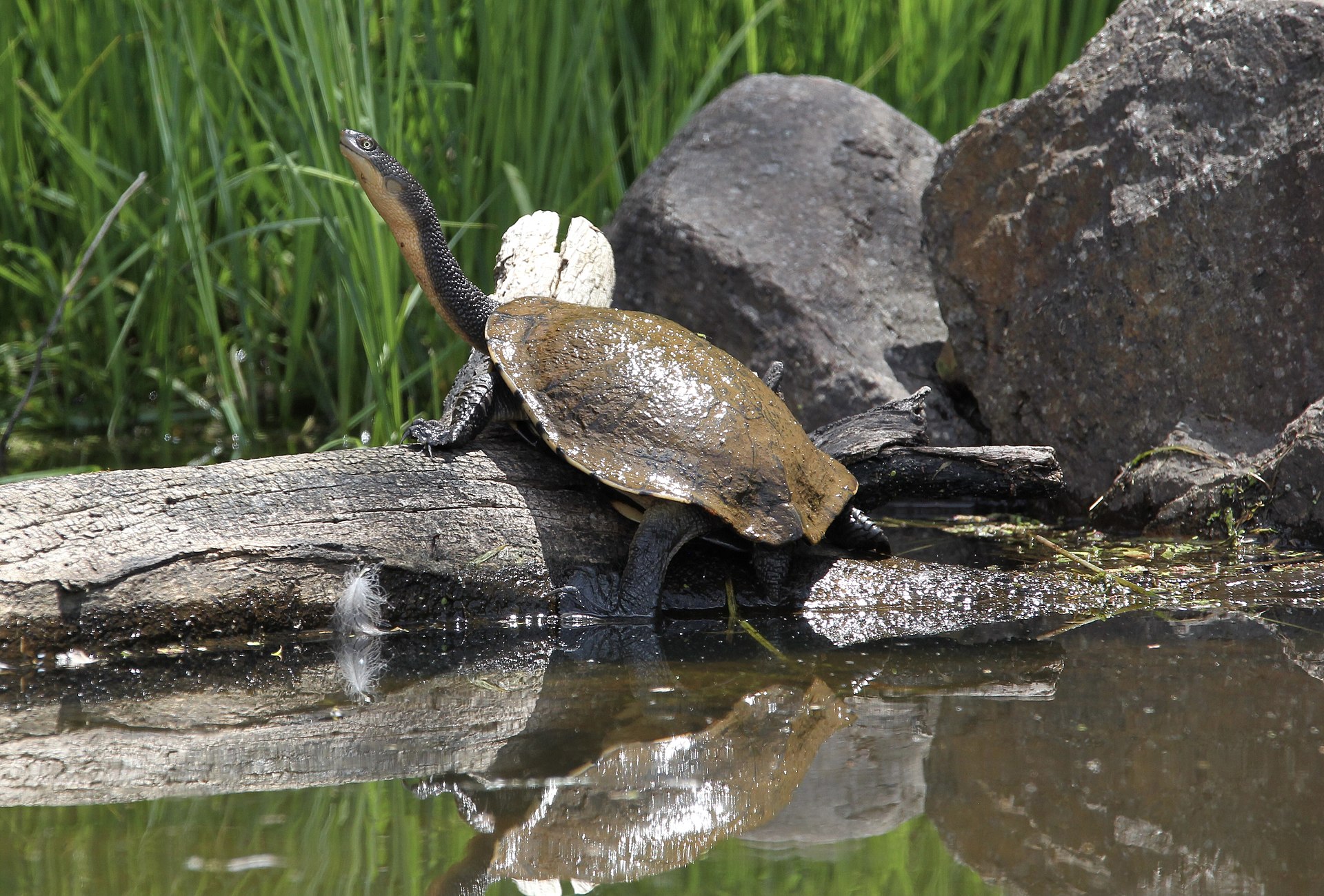Tidbinbilla Nature Reserve