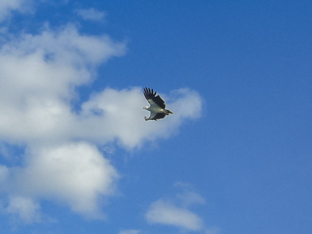 Die Whitsunday Islands sind eine Inselgruppe vor der Ostküste des australischen Bundesstaates Queensland.