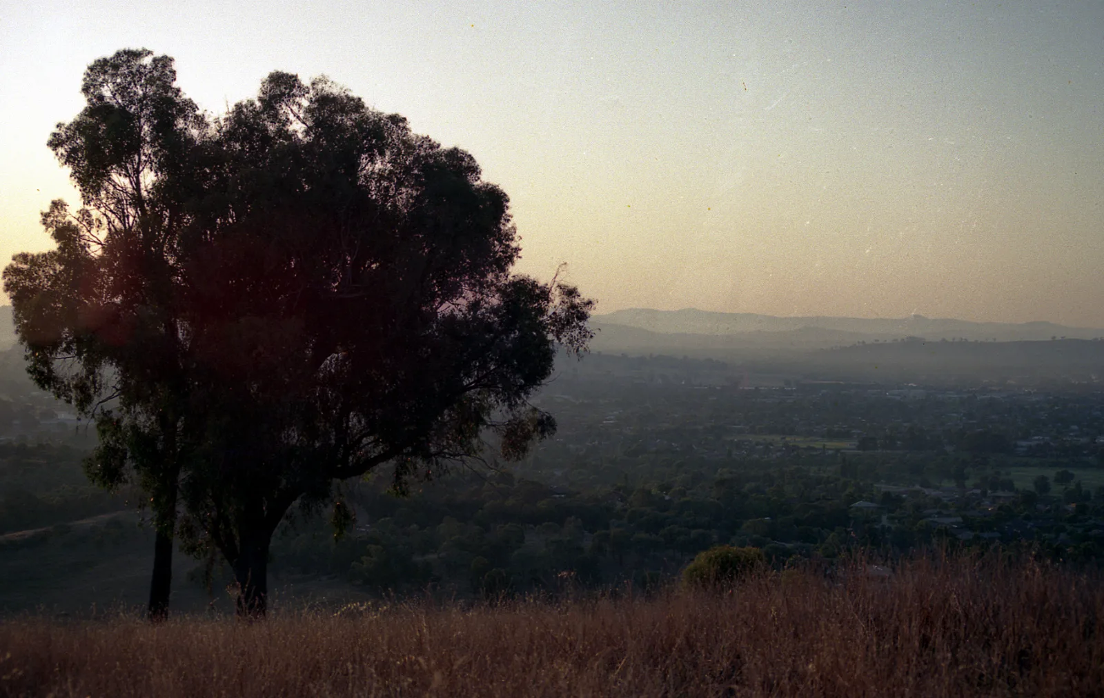 Wodonga